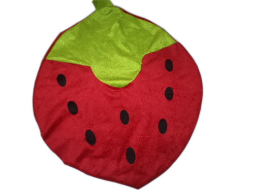 Fruit Design Pillow