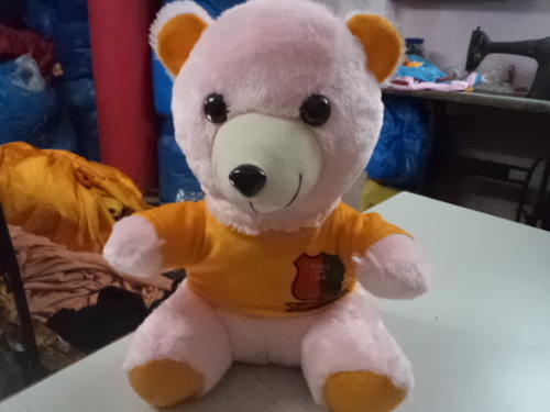Teddy Bear with Customize