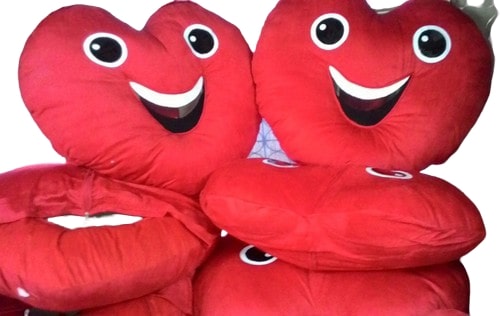 Heart Mascot Costumes